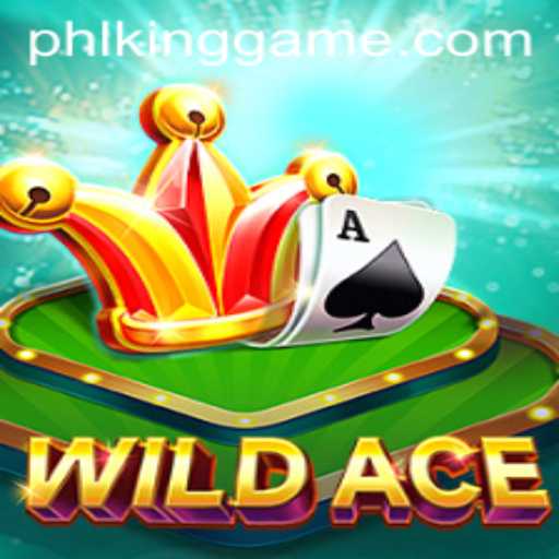 Exploring WildAce A Thrilling Gaming Experience